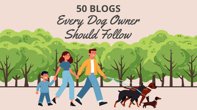 Dog Blogs: 50 Blogs Every Dog Owner Should Follow