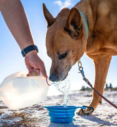 Beach Must Have and Best Practices