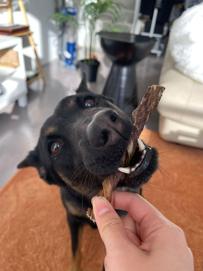 5" Jr. Bully Treat Sticks