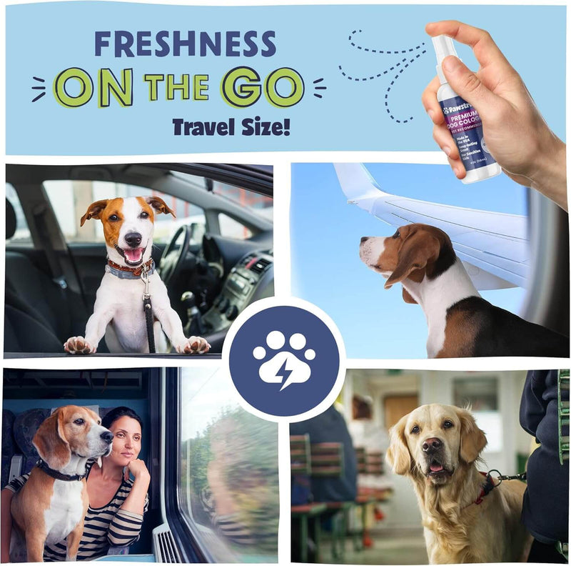 Freshness on the GO - Travel Size