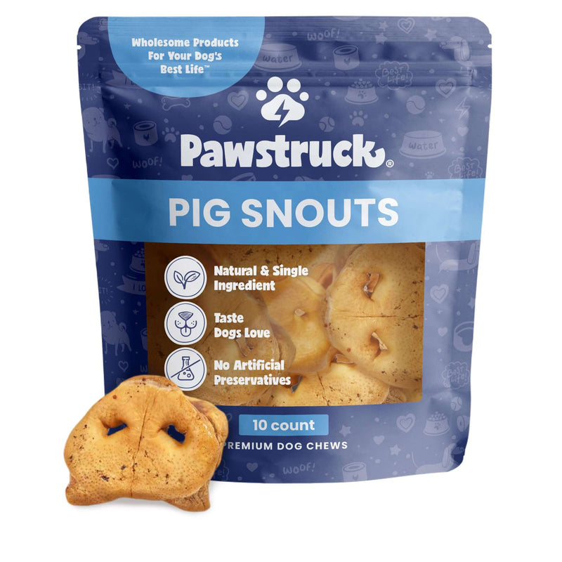 Pig Snouts for Dogs