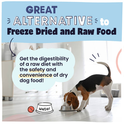 Air Dried Dog Food - Trial Size Variety Pack