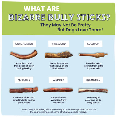 Bizarre Bully Stick Bargain Bag