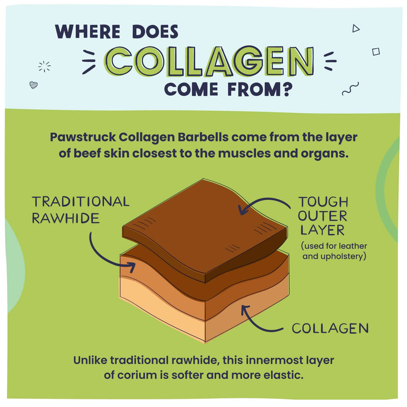 Explaining where beef collagen comes from and how it differs from rawhide