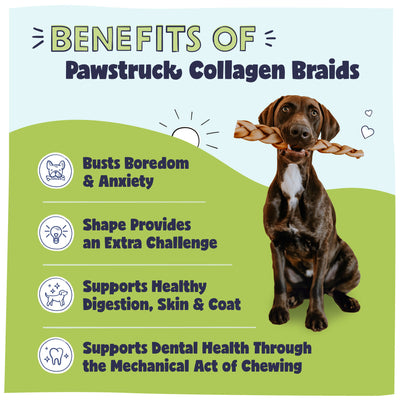 Benefits of Pawstruck Collagen Braids