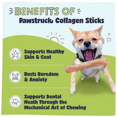 Benefits of Pawstruck Collagen Sticks