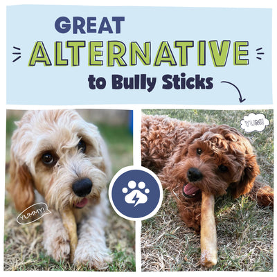 Great Alternative to Bully sticks