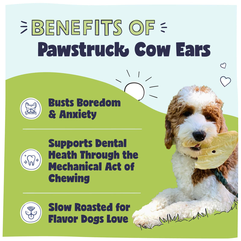 Cow Ears for Dogs