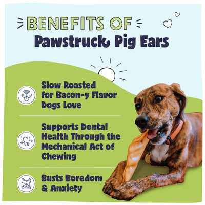 Pig Ears for Dogs