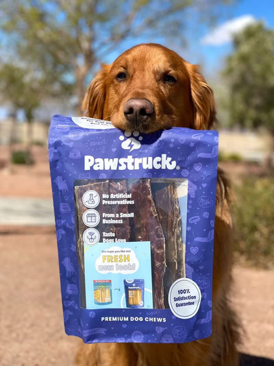 A happy dog holding a bag of the Pawstruck Beef Jerky Joint Health Treats